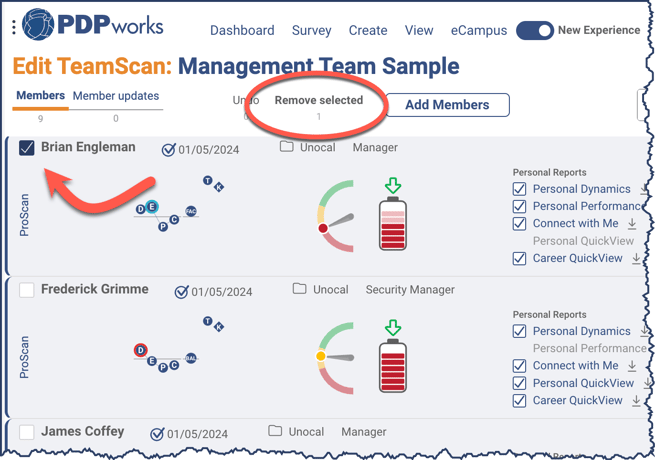 NewExp - Remove Team Member